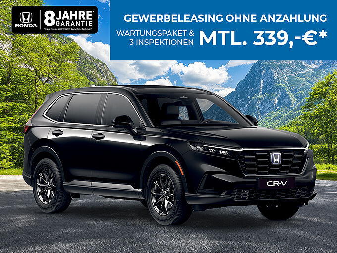 Gewerbe CRV AWD